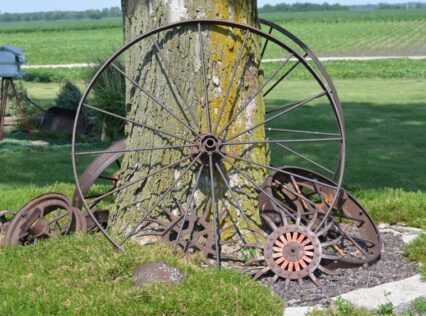 Antique wheels resting up against a tree outside.