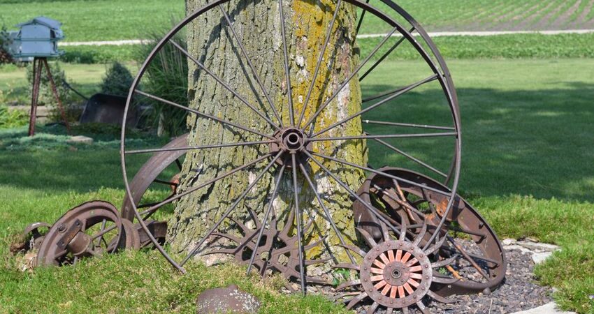 Antique wheels resting up against a tree outside.